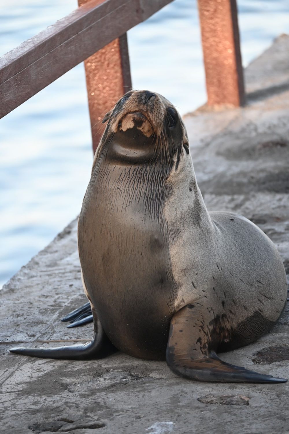 WhatsApp Image 2025-02-11 at 17.50.05