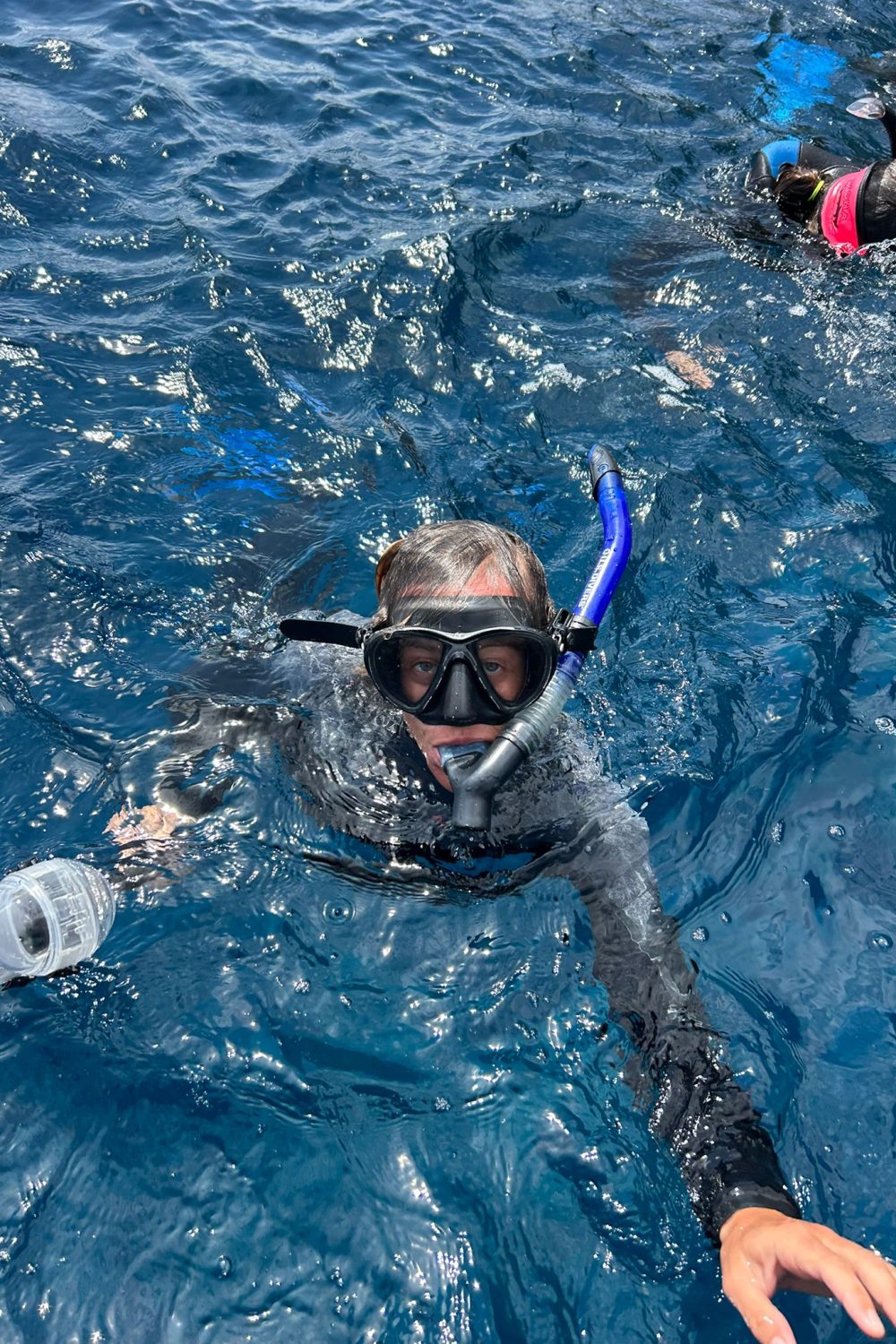 Día de Snorkeling